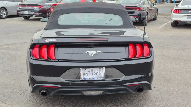 2021 Ford Mustang EcoBoost Premium Image 8 of 19