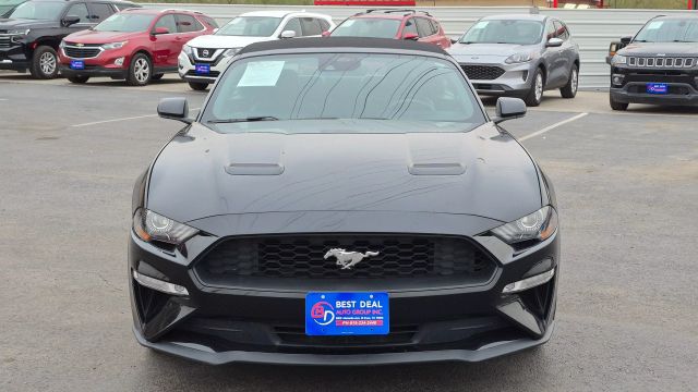 2021 Ford Mustang EcoBoost Premium Image 4 of 19