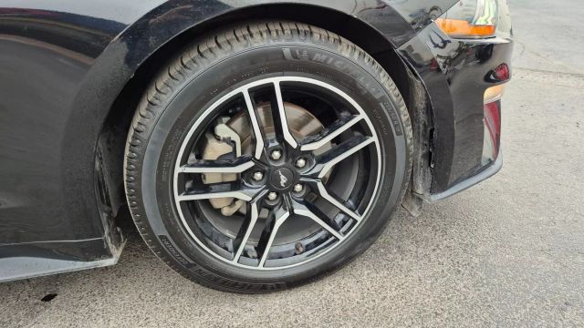 2021 Ford Mustang EcoBoost Premium Image 19 of 19