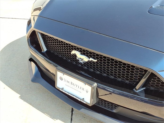 2021 Ford Mustang GT Image 15 of 19