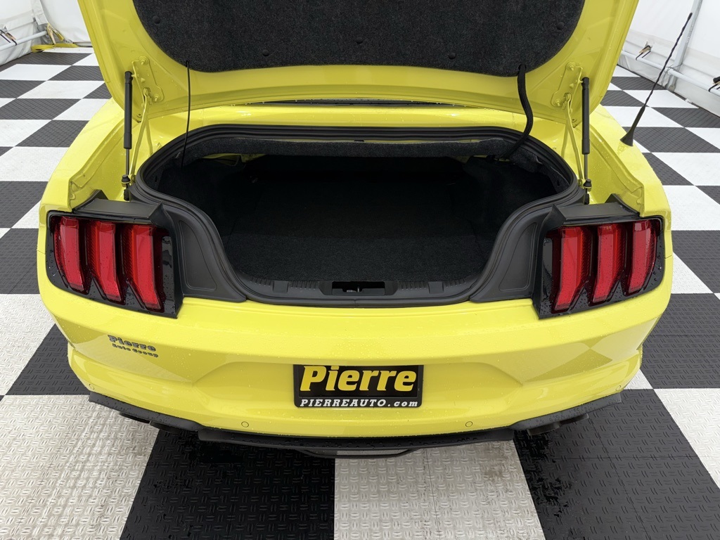 2021 Ford Mustang GT Premium Image 11 of 31