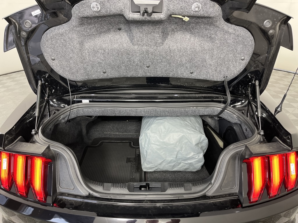 2021 Ford Mustang GT Premium Image 10 of 31