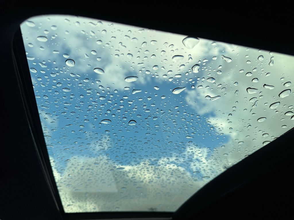 2021 Lexus NX 300 F Sport Image 21 of 21