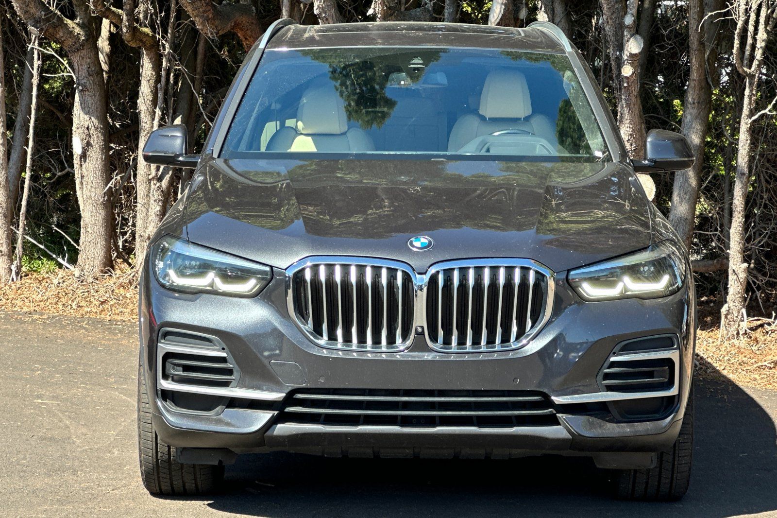 2022 BMW X5 xDrive40i Image 3 of 36