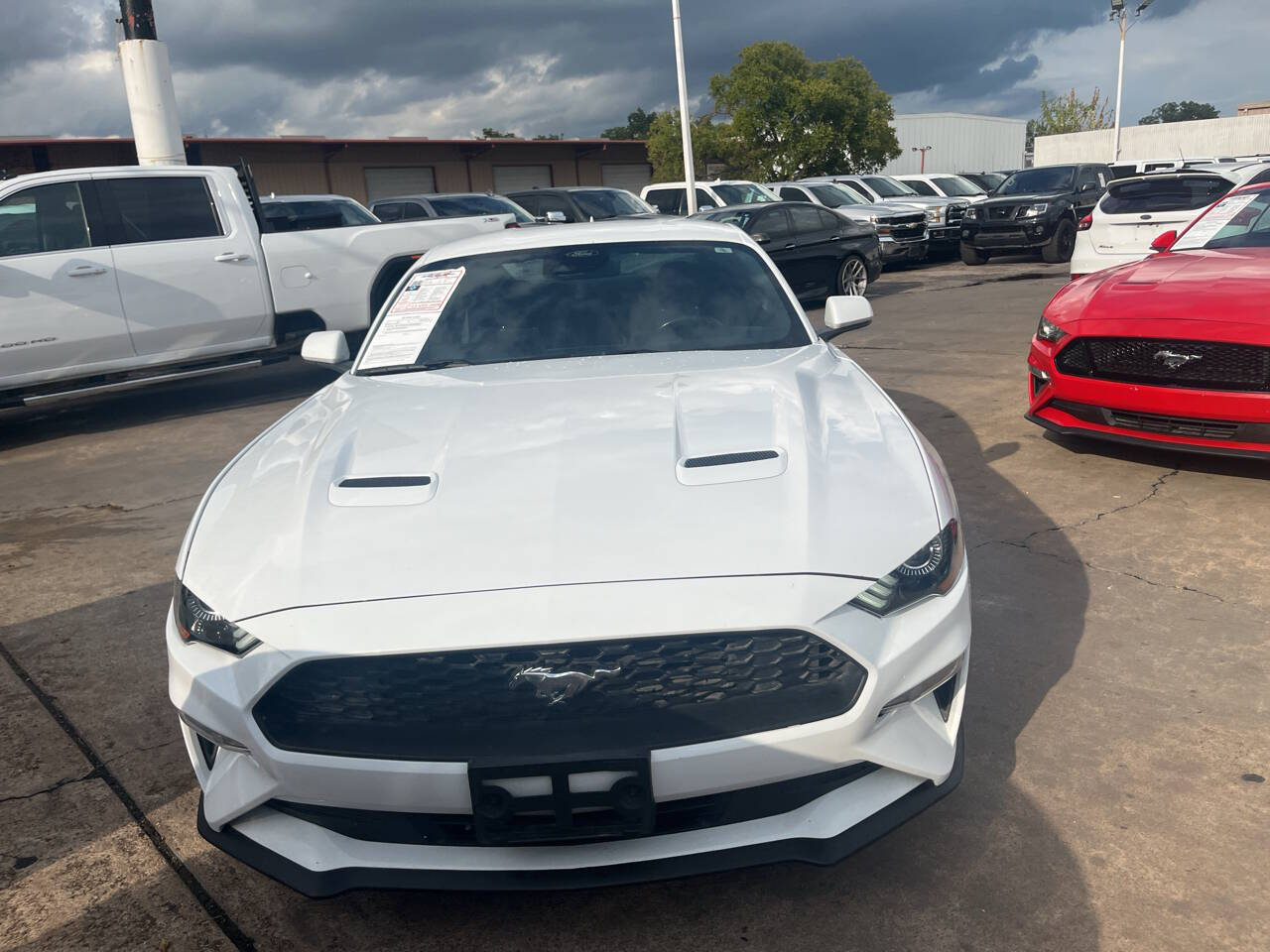 2022 Ford Mustang Image 2 of 16
