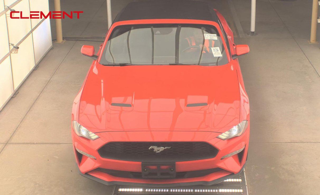 2022 Ford Mustang EcoBoost Premium Image 8 of 19