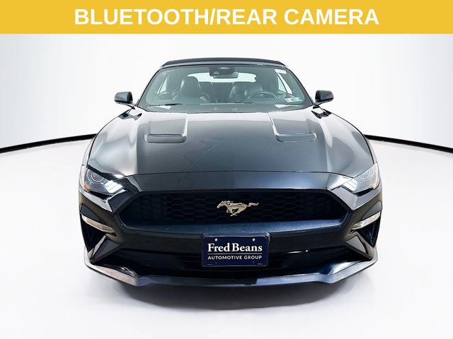 2022 Ford Mustang EcoBoost Premium Image 3 of 31