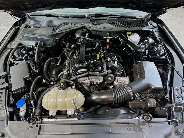 2022 Ford Mustang EcoBoost Premium Image 11 of 31