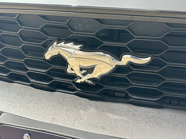 2022 Ford Mustang EcoBoost Premium Image 27 of 31