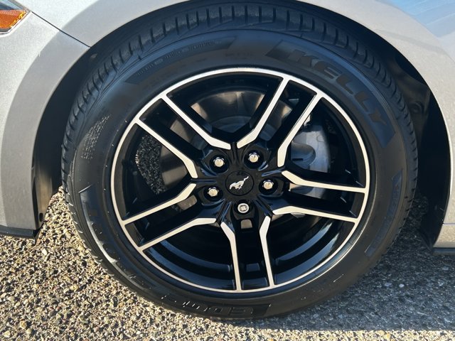 2022 Ford Mustang EcoBoost Premium Image 8 of 30