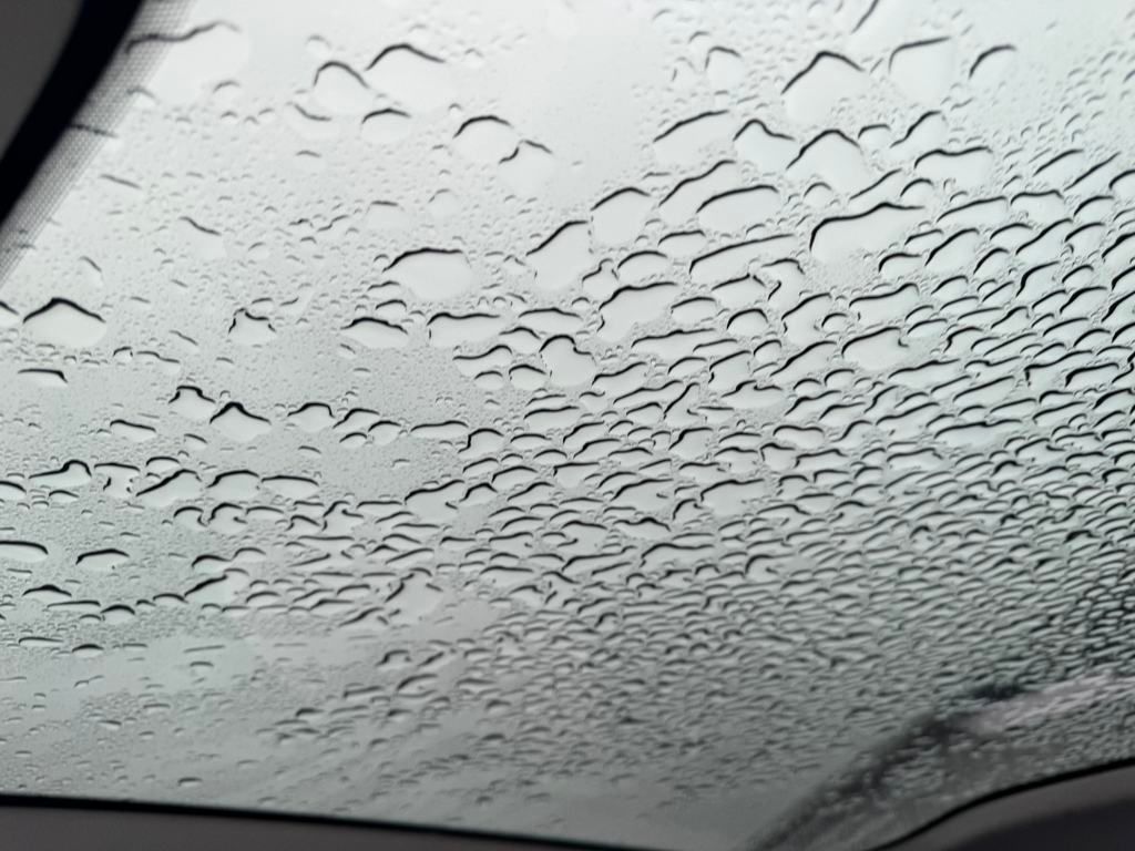 Vehicle image 19 of 19
