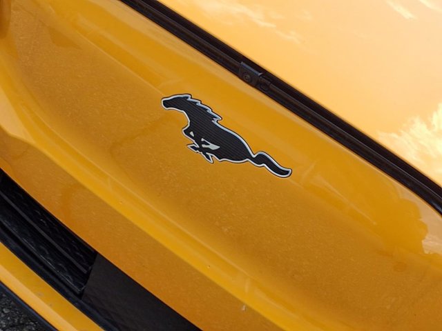 Vehicle image 31 of 31
