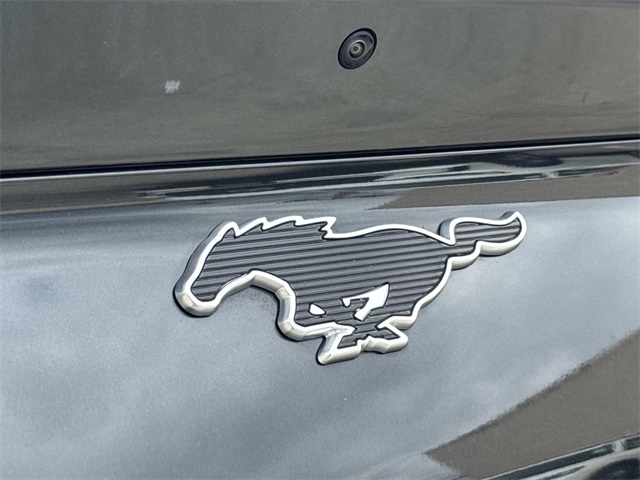 Vehicle image 8 of 29