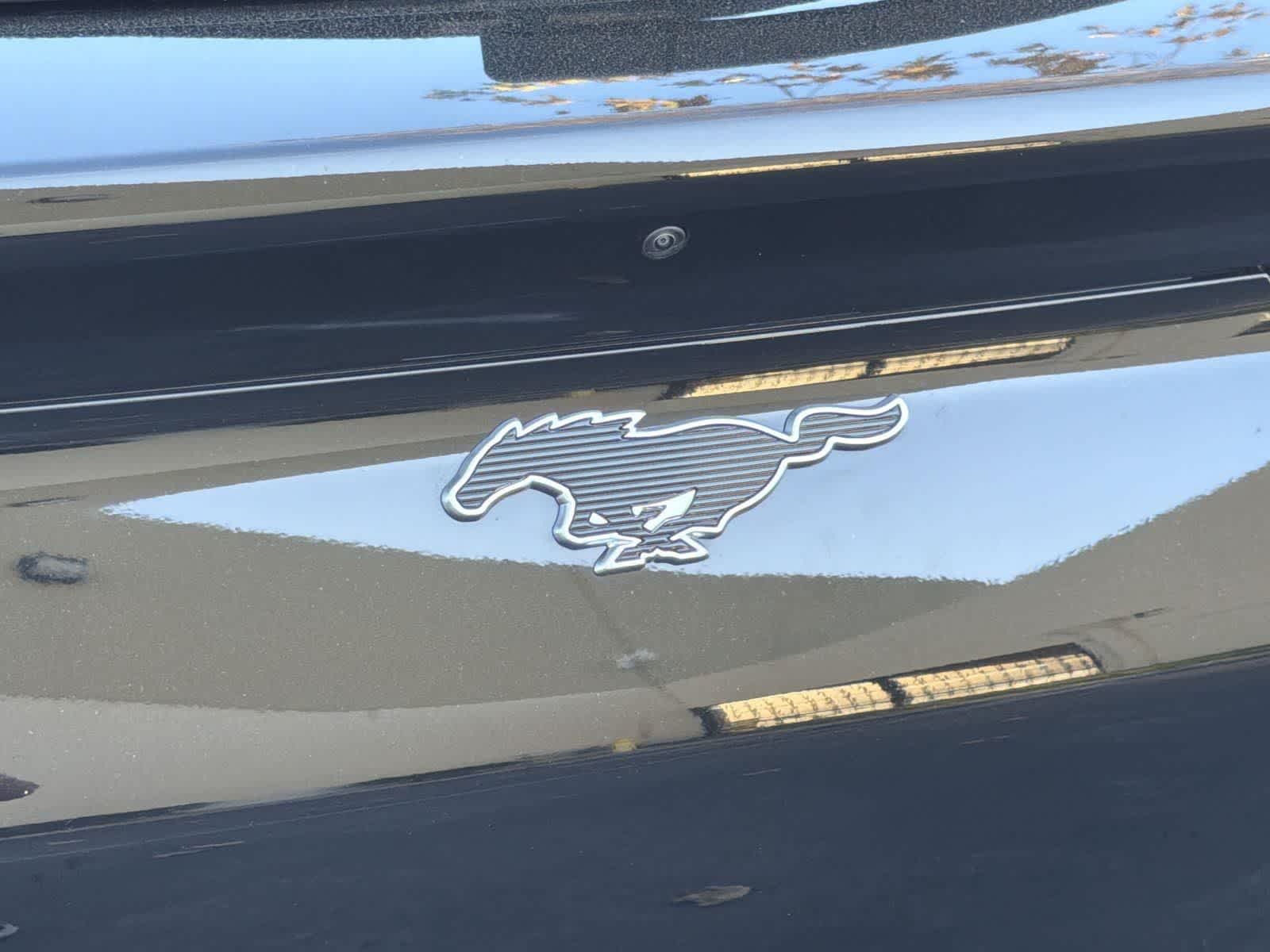 2022 Ford Mustang Mach-E Select Image 35 of 35