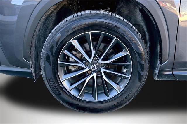 2022 Lexus NX 350h Premium Image 7 of 21