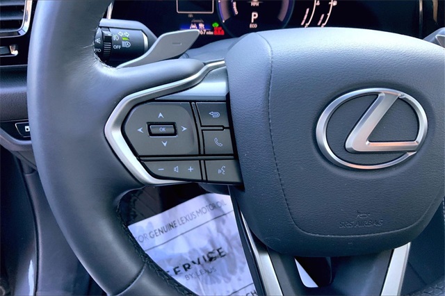 2022 Lexus NX 350h Premium Image 19 of 21