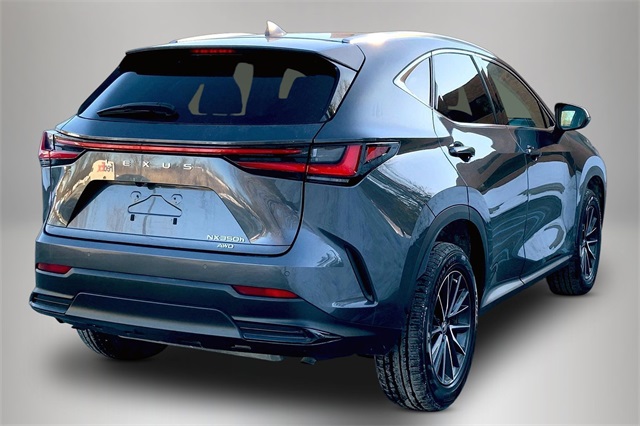2022 Lexus NX 350h Premium Image 4 of 21
