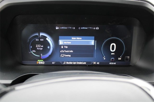 2023 Ford F-150 Lightning Platinum Image 17 of 21