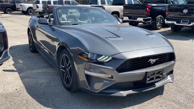 2023 Ford Mustang EcoBoost Premium Image 6 of 25
