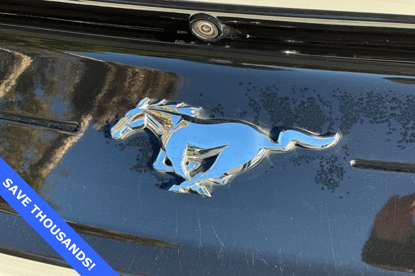 2023 Ford Mustang EcoBoost Premium Image 22 of 34