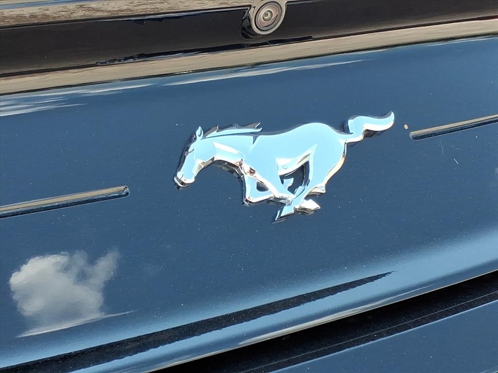 2023 Ford Mustang EcoBoost Premium Image 21 of 21