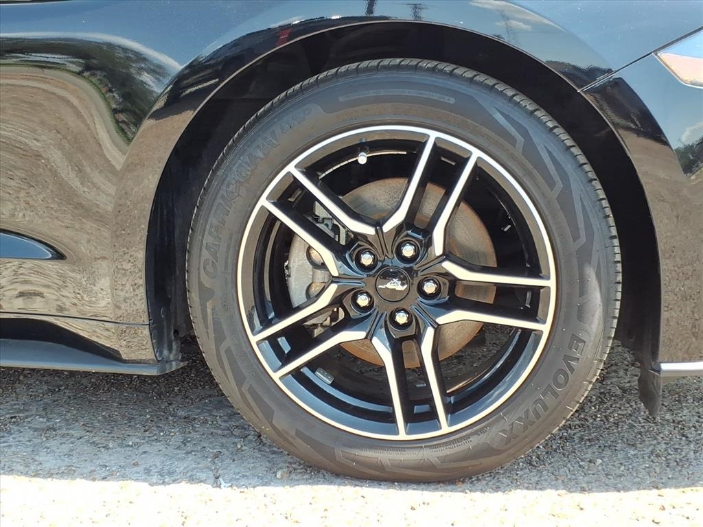 2023 Ford Mustang EcoBoost Premium Image 8 of 21