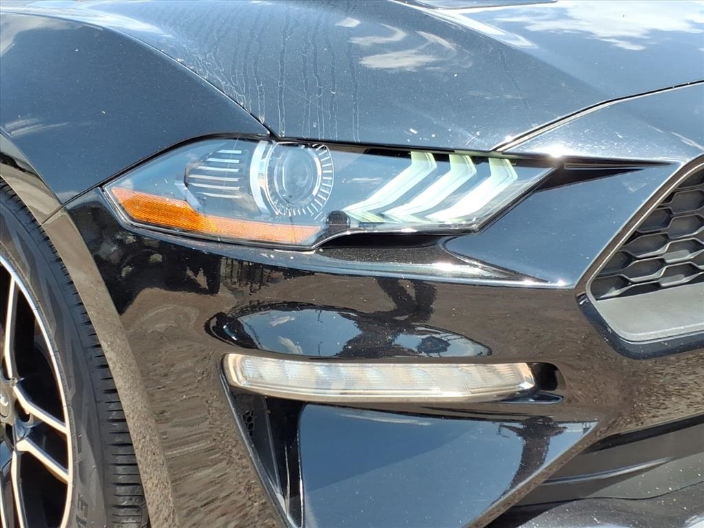 2023 Ford Mustang EcoBoost Premium Image 18 of 21