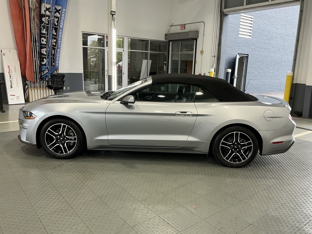 2023 Ford Mustang EcoBoost Premium Image 15 of 37