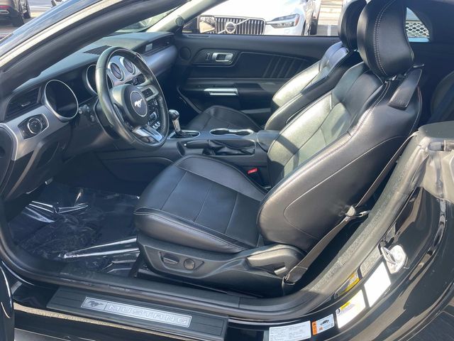 2023 Ford Mustang GT Premium Image 17 of 34