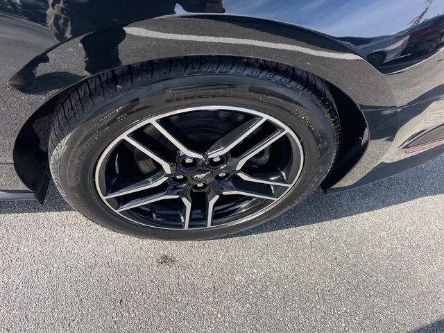 2023 Ford Mustang GT Premium Image 13 of 34