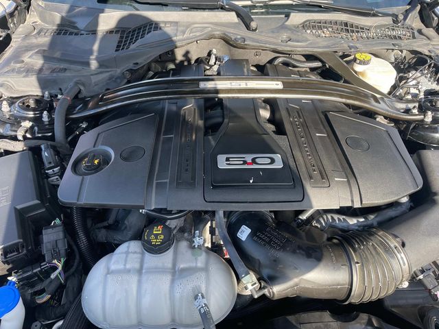 2023 Ford Mustang GT Premium Image 14 of 34