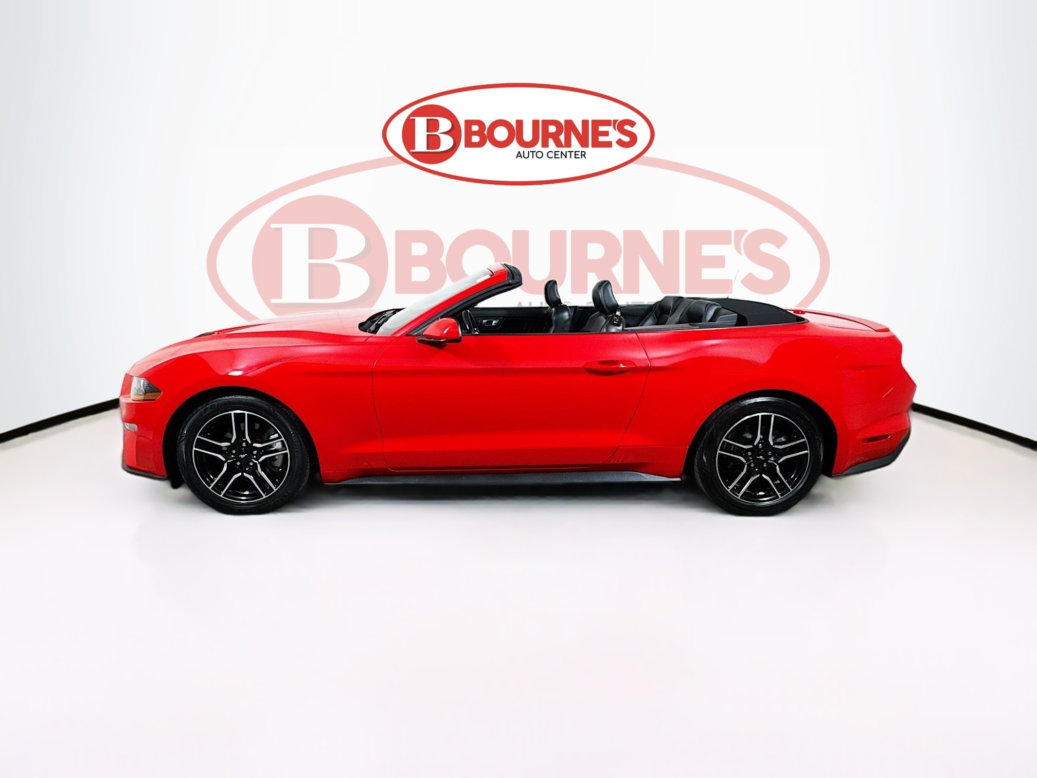 2023 Ford Mustang EcoBoost Premium Image 8 of 29