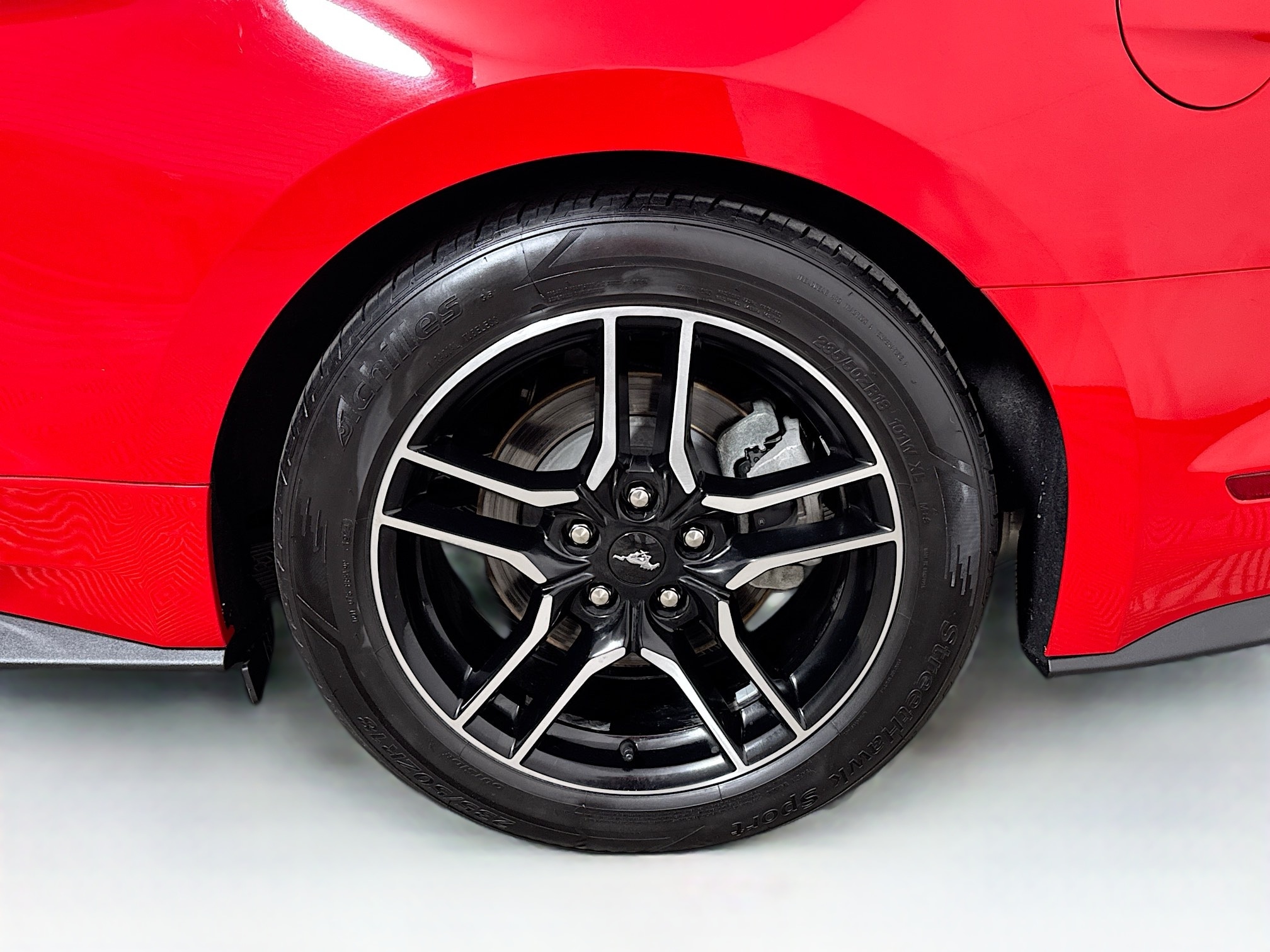 2023 Ford Mustang EcoBoost Premium Image 9 of 29