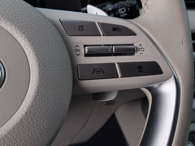 2023 Hyundai Palisade Limited Image 34 of 35