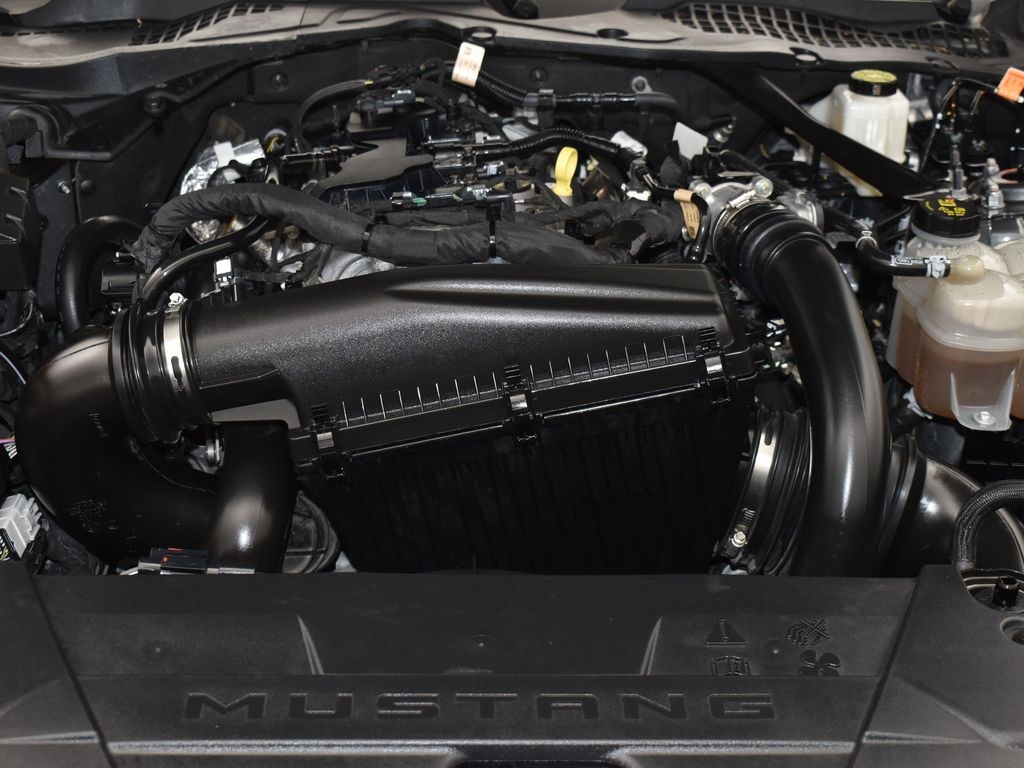 2024 Ford Mustang EcoBoost Premium Image 19 of 34