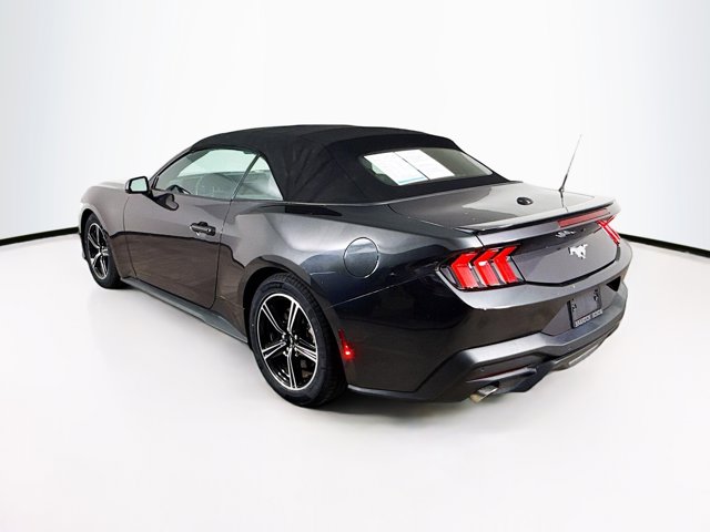 2024 Ford Mustang EcoBoost Premium Image 7 of 33