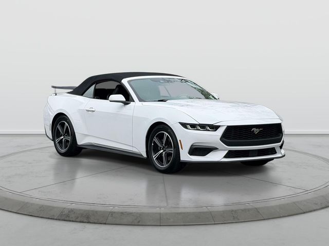 2024 Ford Mustang EcoBoost Premium Image 2 of 26