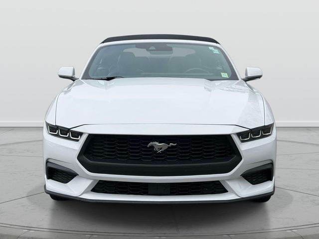 2024 Ford Mustang EcoBoost Premium Image 3 of 26