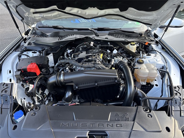 2024 Ford Mustang EcoBoost Premium Image 8 of 25