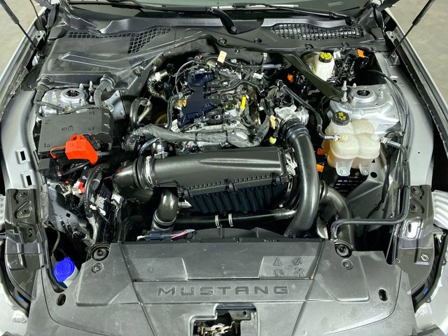 2024 Ford Mustang EcoBoost Premium Image 11 of 36