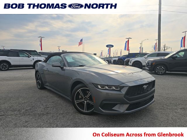 2024 Ford Mustang EcoBoost Premium Image 3 of 19