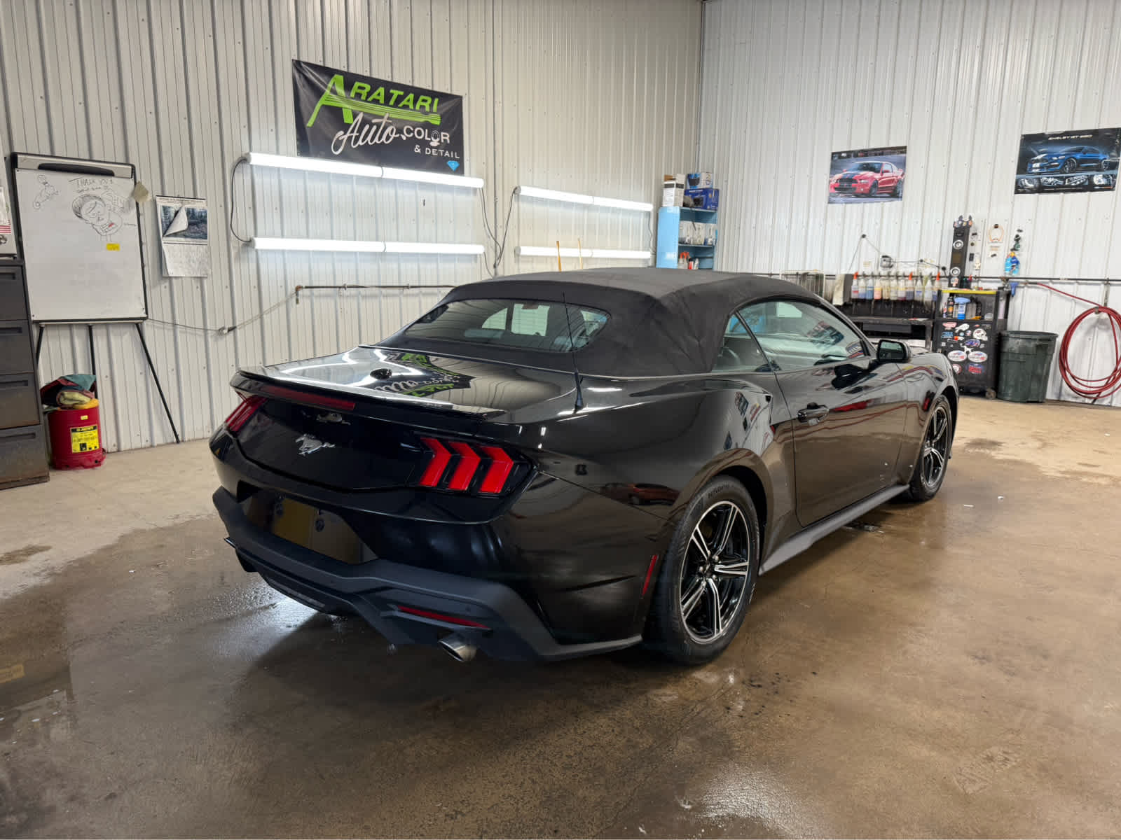 2024 Ford Mustang EcoBoost Premium Image 3 of 19