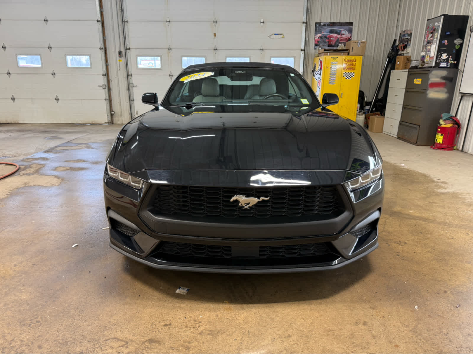 2024 Ford Mustang EcoBoost Premium Image 1 of 19