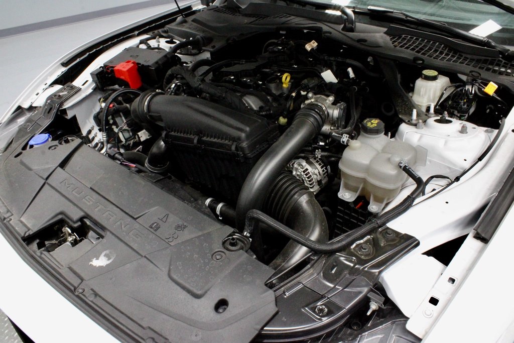 2024 Ford Mustang EcoBoost Premium Image 11 of 31