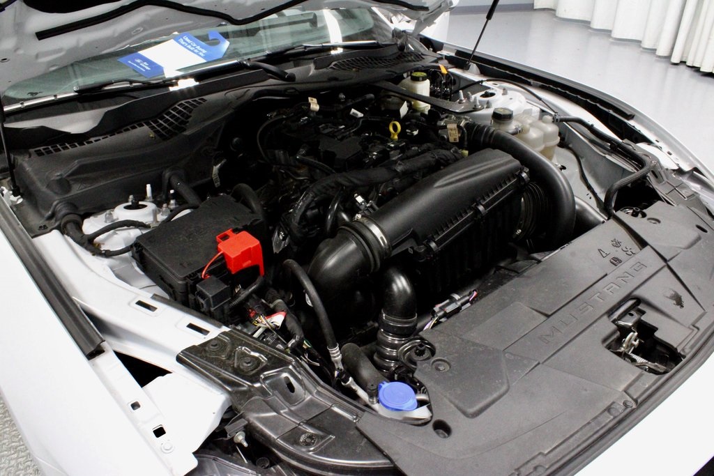 2024 Ford Mustang EcoBoost Premium Image 10 of 31