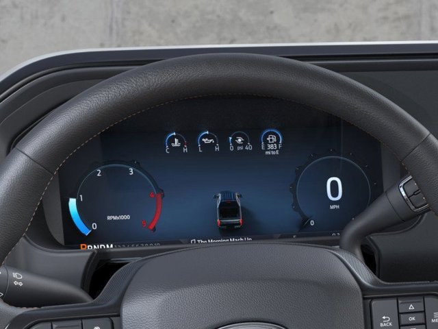 2024 Ford F-250 Platinum Image 16 of 22