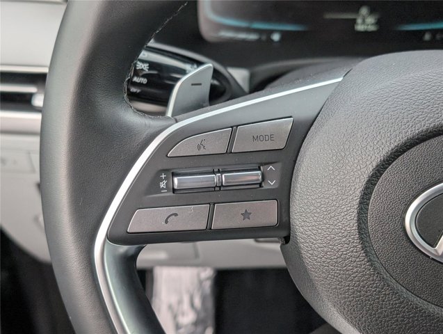 2024 Hyundai Palisade SEL Image 23 of 31