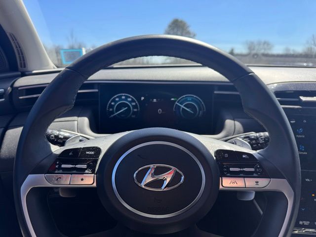 Vehicle image 11 of 19