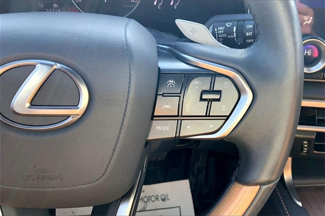 2024 Lexus RX Image 20 of 21