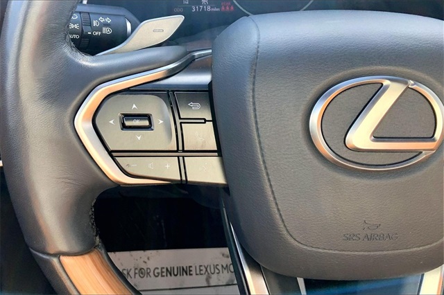 2024 Lexus RX Image 21 of 21